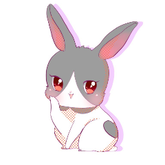 reisuke
